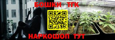 гидропоника Боровичи