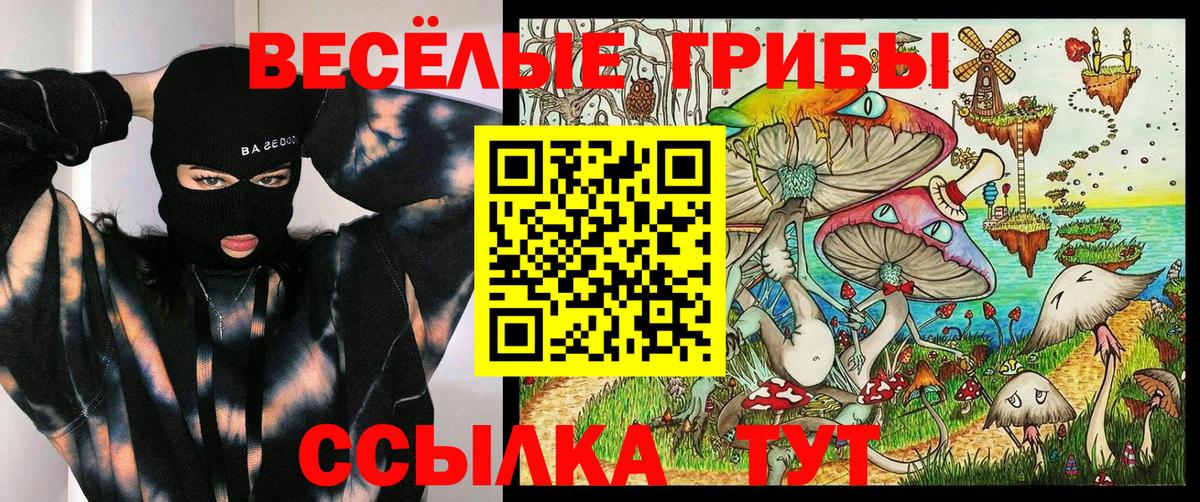 Псилоцибиновые грибы MAGIC MUSHROOMS  Вход с VPN  Вязьма 